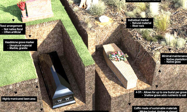 How Many Coffins Can Go in a Single Grave 2